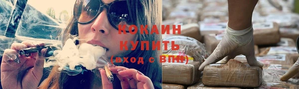 прущие грибы Верхний Тагил