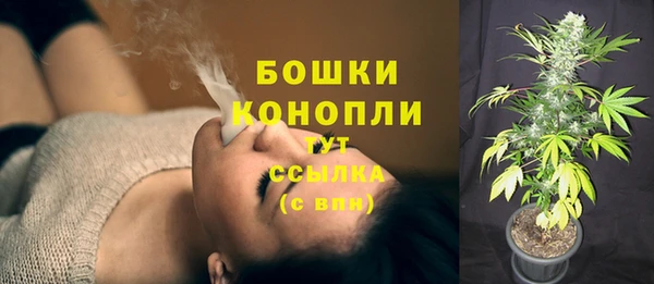 ПСИЛОЦИБИНОВЫЕ ГРИБЫ Верея