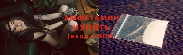 прущие грибы Верхний Тагил