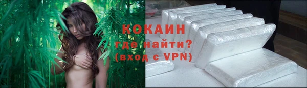 прущие грибы Верхний Тагил
