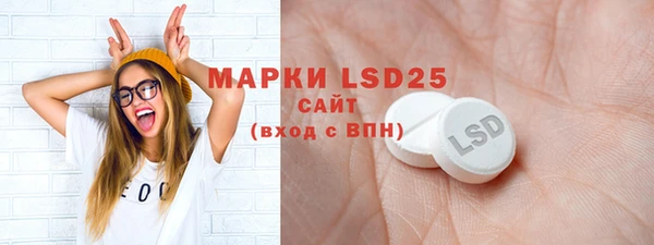 прущие грибы Верхний Тагил