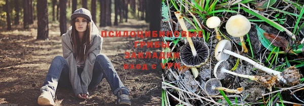 соль ск Верхнеуральск