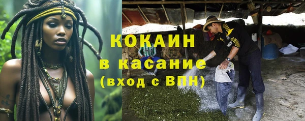 ПСИЛОЦИБИНОВЫЕ ГРИБЫ Верея