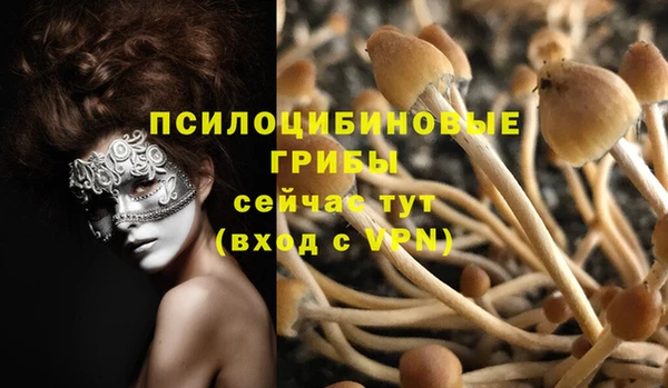 ПСИЛОЦИБИНОВЫЕ ГРИБЫ Верея