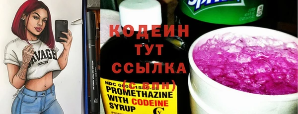 прущие грибы Верхний Тагил