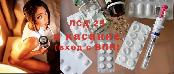 ПСИЛОЦИБИНОВЫЕ ГРИБЫ Верея
