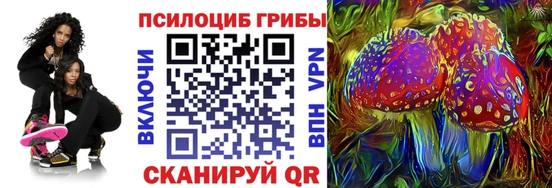 Галлюциногенные грибы Psilocybine cubensis  купить наркоту  Мостовской 
